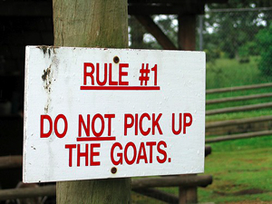 Reinventing Rules Together