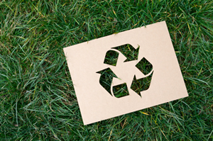 Sustainability: the Mother of Innovation