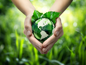Triggering Innovation Through Sustainability