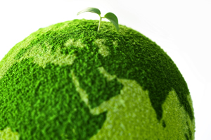 Sustainability Means More than Cleaning Up the Environment