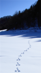 How Big is Your Business’s Environmental Footprint?