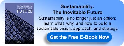 E-Book:Sustainability: The Inevitable Future