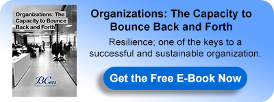 E-Book: Organizations: The Capacity to Bounce Back and Forth