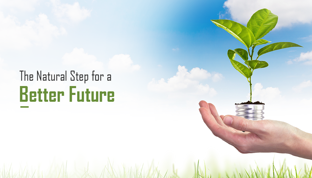 Becoming the Change Agent of Sustainability